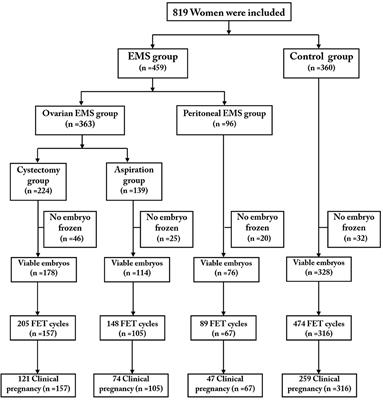 Analysis of IVF/ICSI-FET Outcomes in Women With Advanced Endometriosis: Influence on Ovarian Response and Oocyte Competence